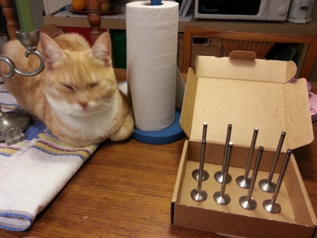 Katten vaktar ventilsändningen ;-)