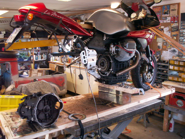 v11 003.jpg
