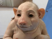 Miss_Piggy.jpg